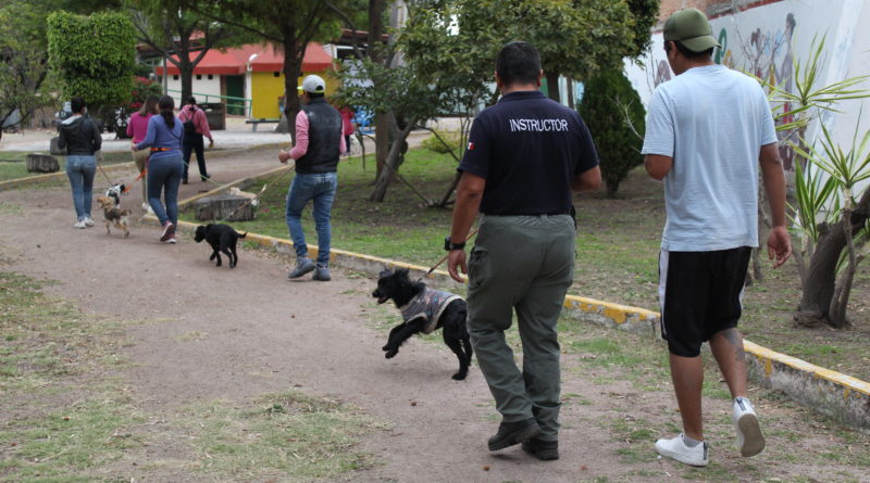 Hoy voluntarios nos acompañaron en #CanConfiable para entrenar con nuestros perritos