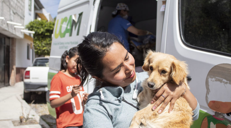 En San José El Alto, los vecinos que buscan fomentar el bienestar animal